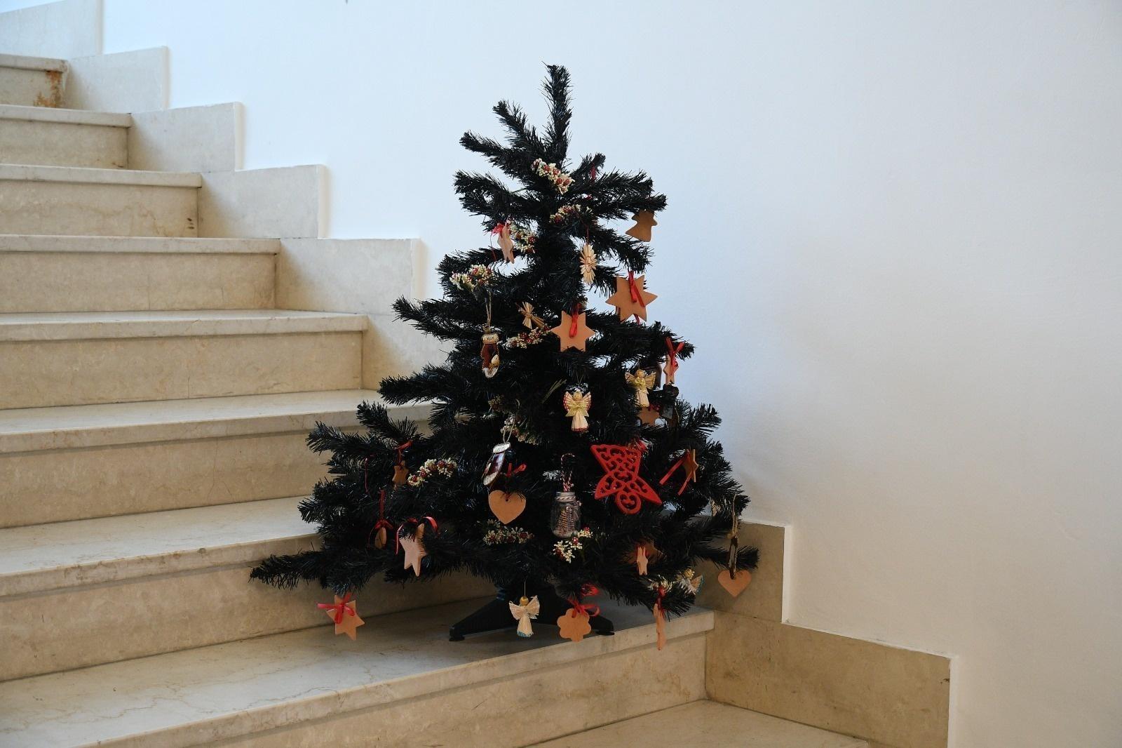 Albero