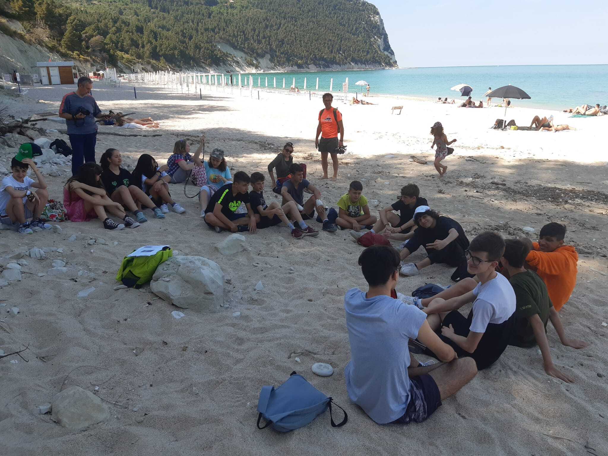 6db6d5e7 edd9 40ab a034 0618b64ff2a9