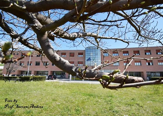 Scuola tra i rami