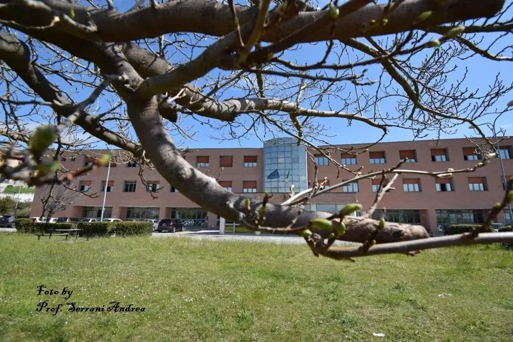 Foto scuola tra i rami