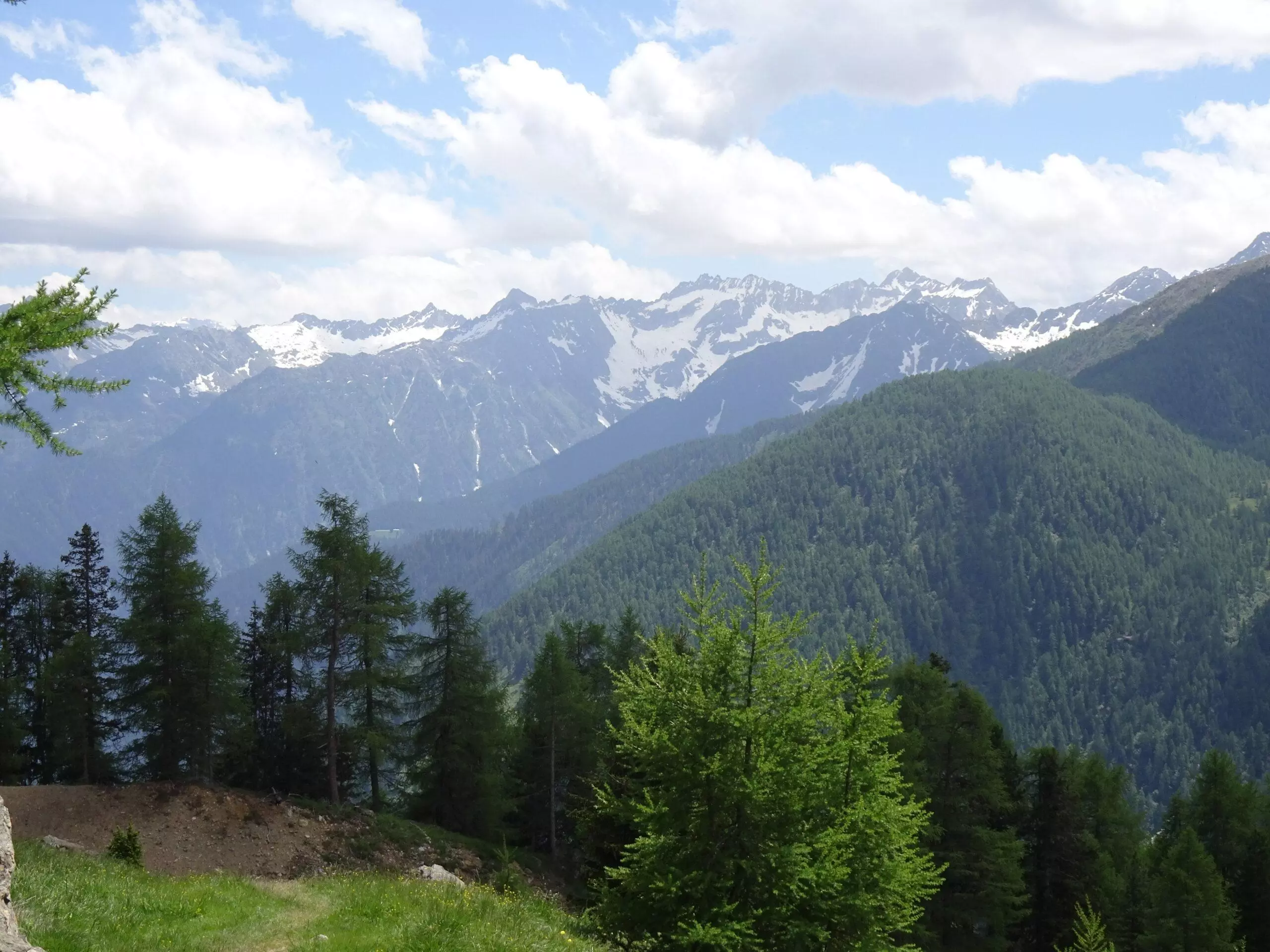 2. Viola Tartaglini 1D Soprani scaled