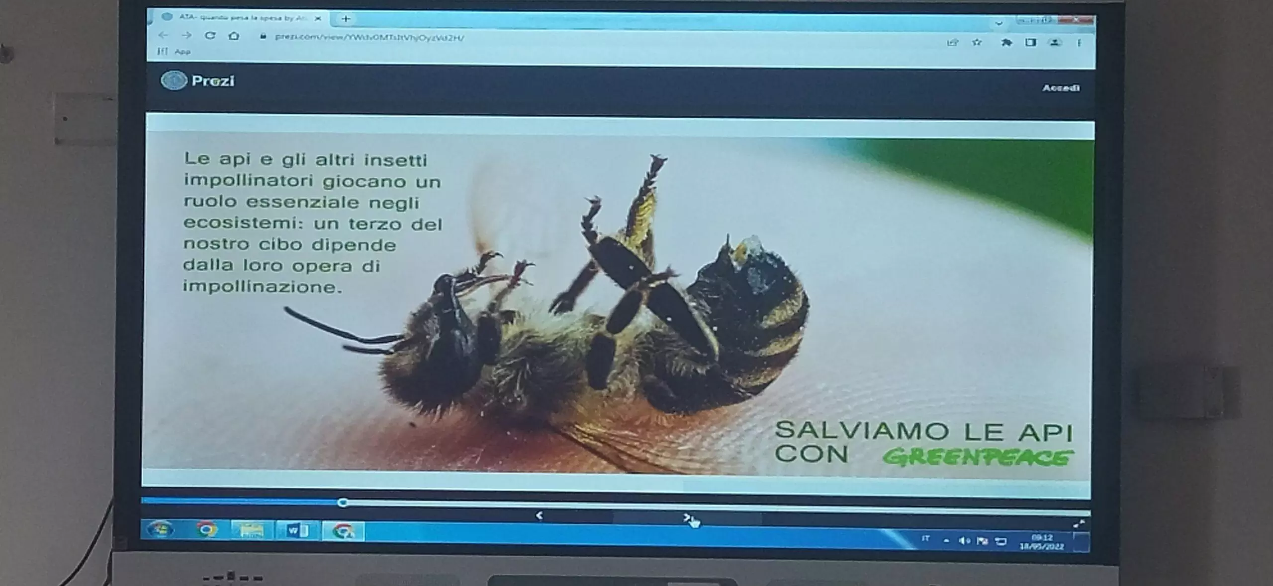 1653039323975 scaled