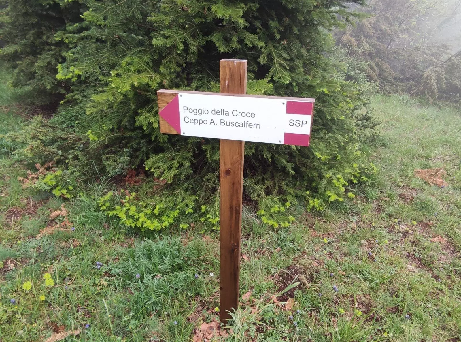 WhatsApp Image 2022 05 10 at 08.31.13 1