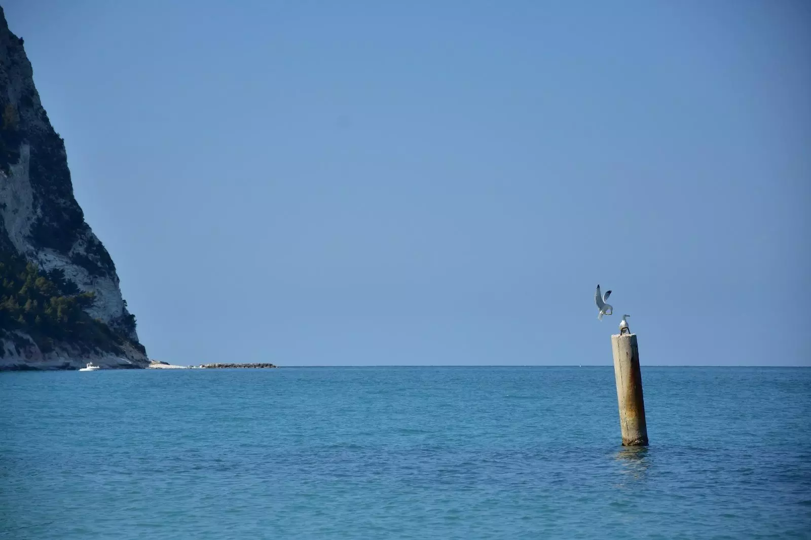 3e51ee4c 2f54 4385 92b9 7f870af870d7